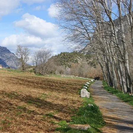 منزل ريفي Cal Remolins Coll de Nargó